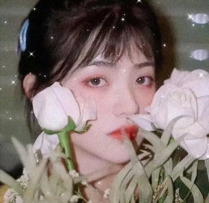 进阶的主母